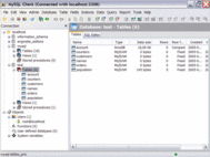 EngInSite MySQL Client screenshot